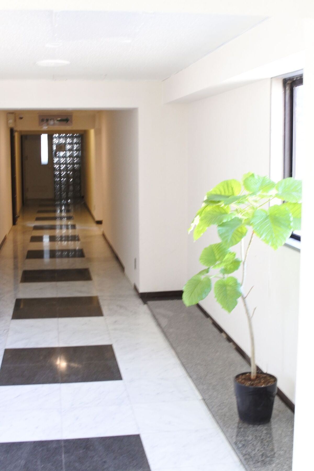 Kagoshima Guest House M104 - Hostel Exterior foto